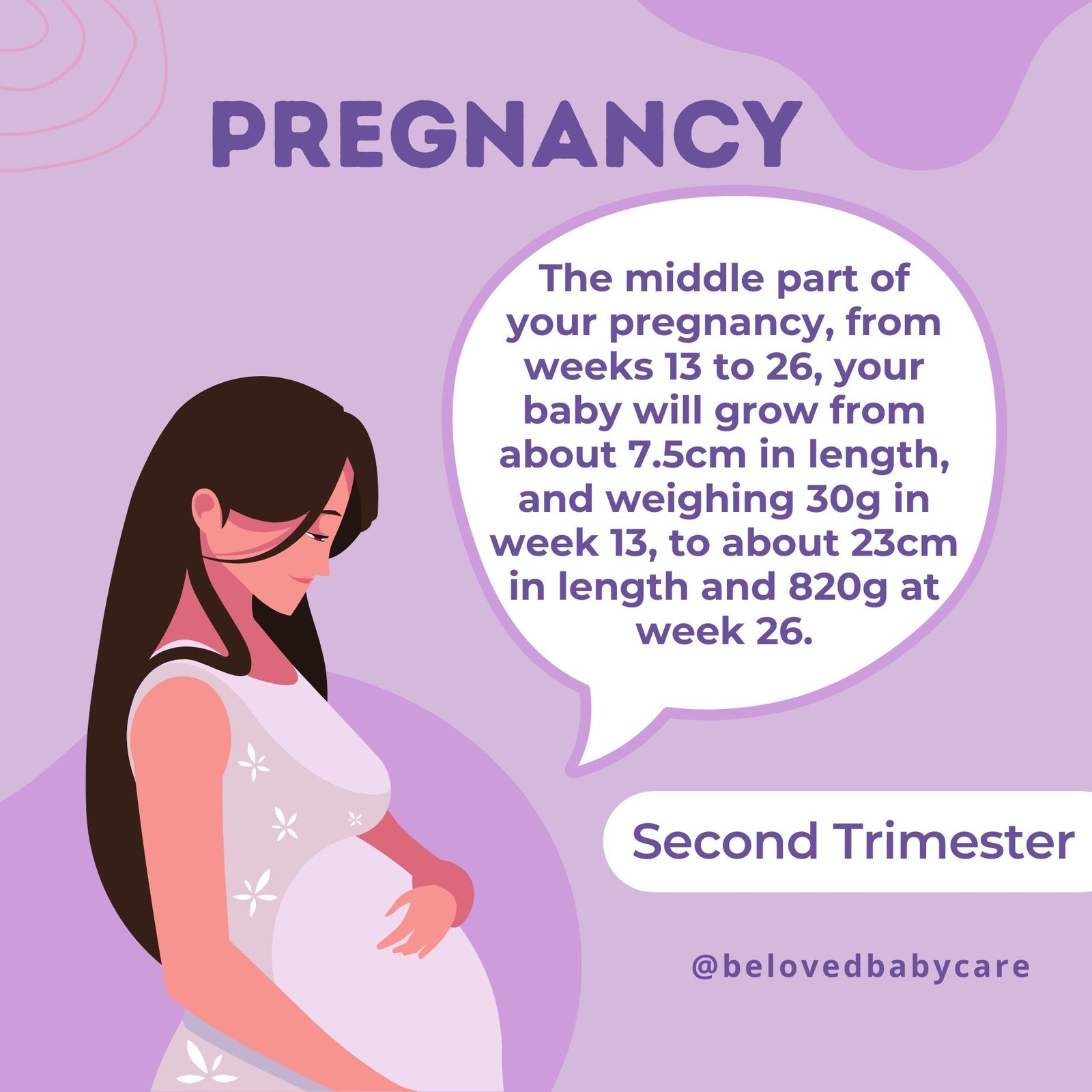 Guideline for The Second Trimester